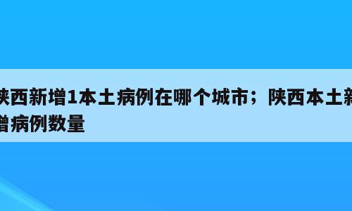 陕西新增1本土病例在哪个城市；陕西本土新增病例数量