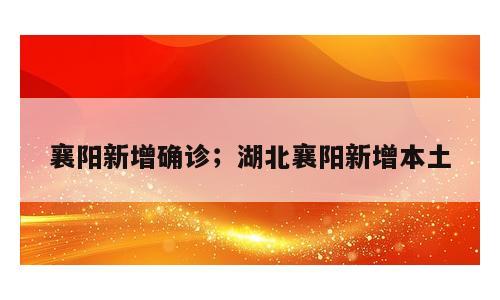 襄阳新增确诊；湖北襄阳新增本土