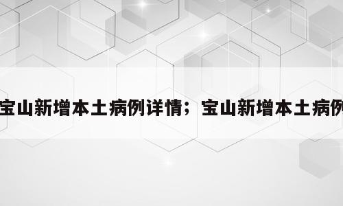宝山新增本土病例详情；宝山新增本土病例