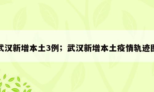 武汉新增本土3例；武汉新增本土疫情轨迹图
