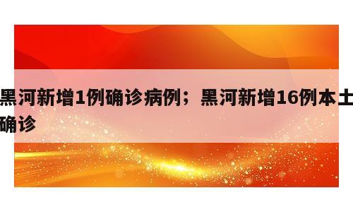 黑河新增1例确诊病例；黑河新增16例本土确诊
