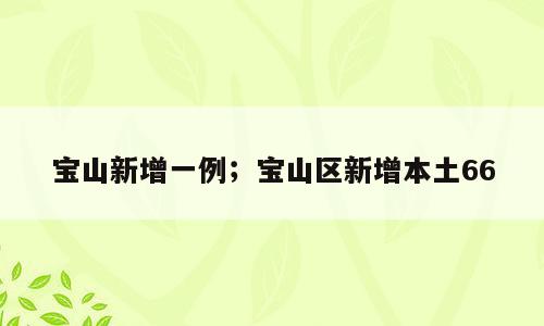 宝山新增一例；宝山区新增本土66