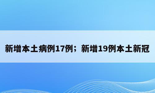 新增本土病例17例；新增19例本土新冠