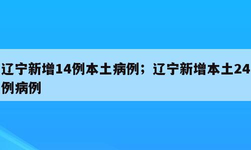 辽宁新增14例本土病例；辽宁新增本土24例病例