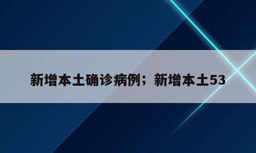 新增本土确诊病例；新增本土53