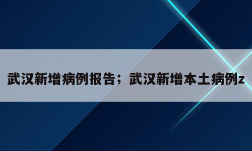 武汉新增病例报告；武汉新增本土病例z