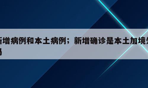 新增病例和本土病例；新增确诊是本土加境外吗