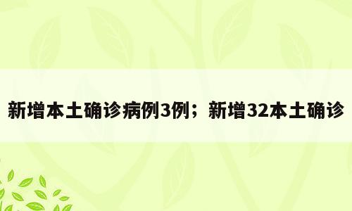 新增本土确诊病例3例；新增32本土确诊