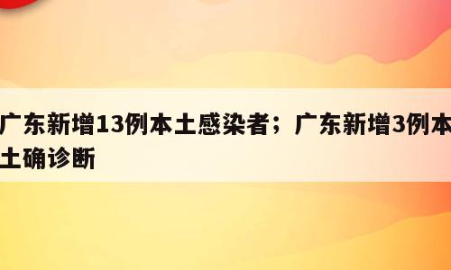 广东新增13例本土感染者；广东新增3例本土确诊断