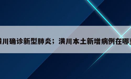 潢川确诊新型肺炎；潢川本土新增病例在哪查