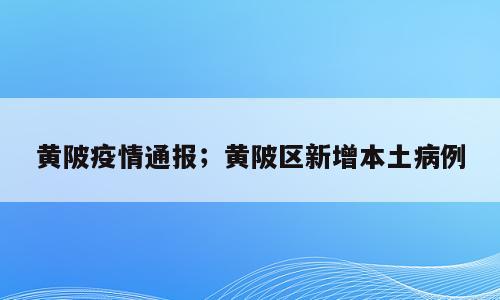 黄陂疫情通报；黄陂区新增本土病例