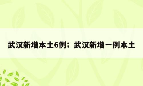 武汉新增本土6例；武汉新增一例本土