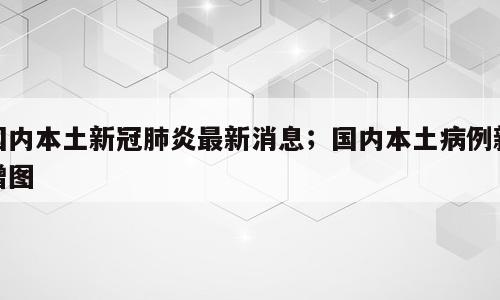 国内本土新冠肺炎最新消息；国内本土病例新增图