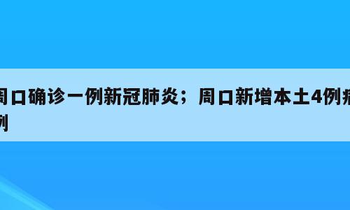 周口确诊一例新冠肺炎；周口新增本土4例病例