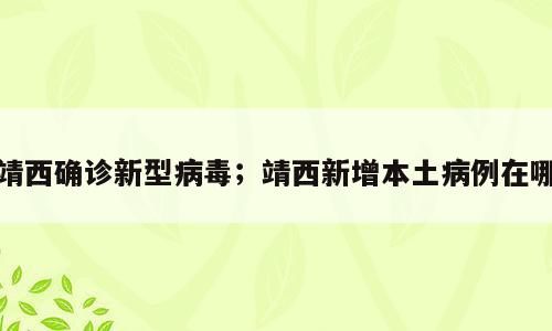 靖西确诊新型病毒；靖西新增本土病例在哪