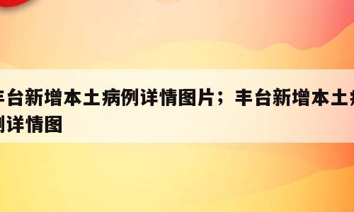 丰台新增本土病例详情图片；丰台新增本土病例详情图