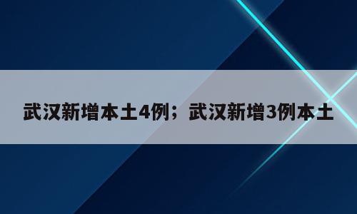 武汉新增本土4例；武汉新增3例本土