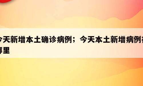 今天新增本土确诊病例；今天本土新增病例在哪里