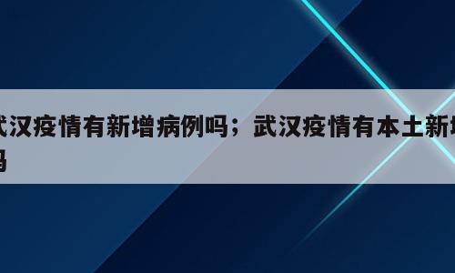 武汉疫情有新增病例吗；武汉疫情有本土新增吗