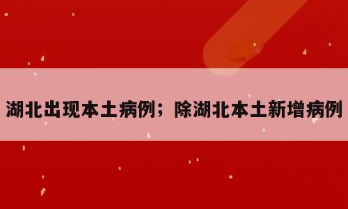 湖北出现本土病例；除湖北本土新增病例