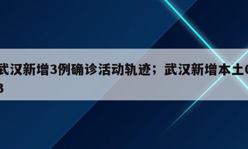 武汉新增3例确诊活动轨迹；武汉新增本土03