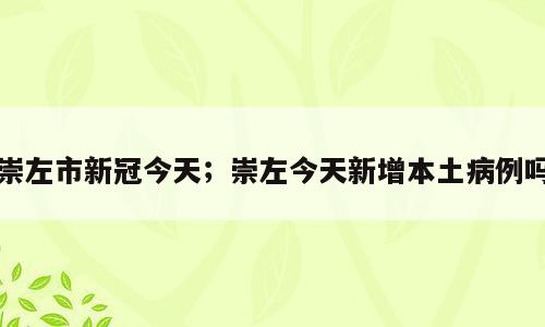 崇左市新冠今天；崇左今天新增本土病例吗