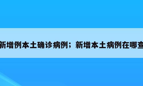 新增例本土确诊病例；新增本土病例在哪查