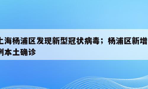 上海杨浦区发现新型冠状病毒；杨浦区新增1例本土确诊