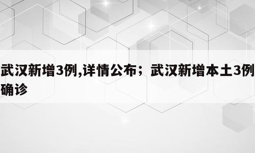 武汉新增3例,详情公布；武汉新增本土3例确诊