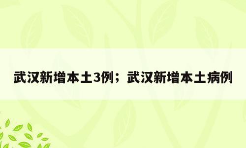 武汉新增本土3例；武汉新增本土病例