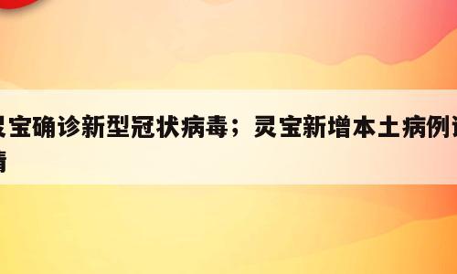 灵宝确诊新型冠状病毒；灵宝新增本土病例详情