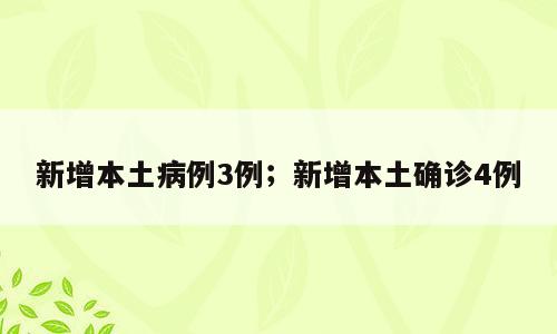 新增本土病例3例；新增本土确诊4例