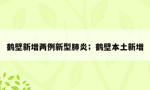 鹤壁新增两例新型肺炎；鹤壁本土新增
