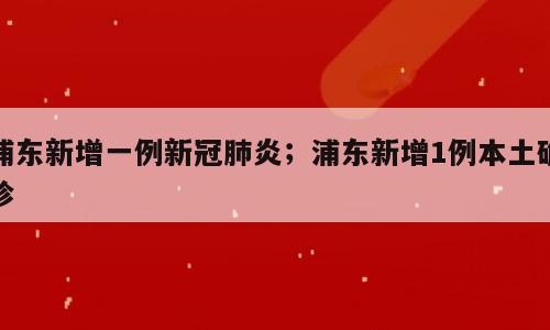 浦东新增一例新冠肺炎；浦东新增1例本土确诊