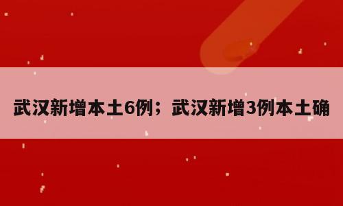 武汉新增本土6例；武汉新增3例本土确