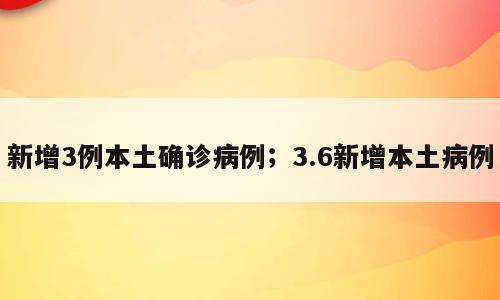 新增3例本土确诊病例；3.6新增本土病例