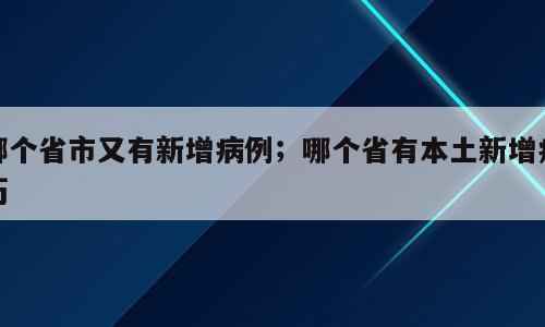 哪个省市又有新增病例；哪个省有本土新增病历