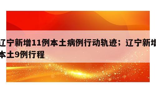 辽宁新增11例本土病例行动轨迹；辽宁新增本土9例行程