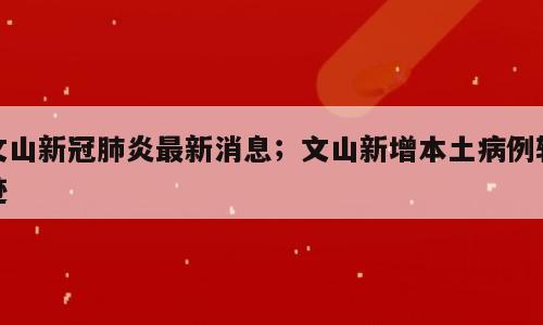 文山新冠肺炎最新消息；文山新增本土病例轨迹