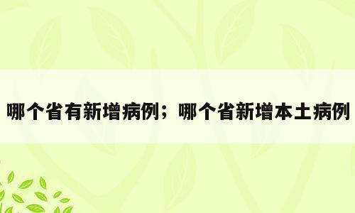 哪个省有新增病例；哪个省新增本土病例