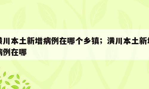 潢川本土新增病例在哪个乡镇；潢川本土新增病例在哪