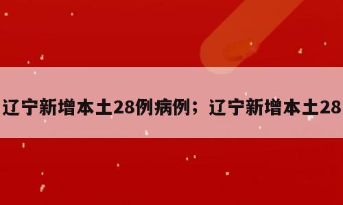 辽宁新增本土28例病例；辽宁新增本土28