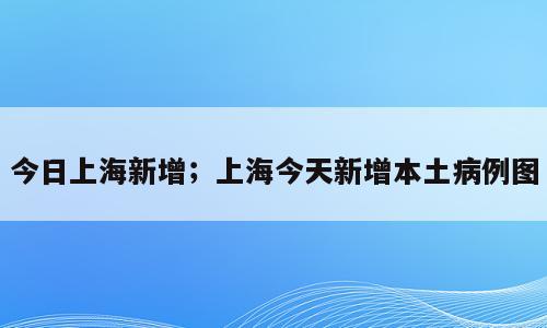 今日上海新增；上海今天新增本土病例图