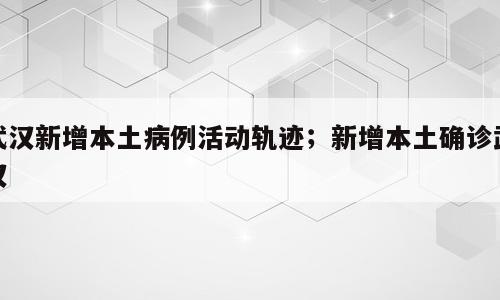 武汉新增本土病例活动轨迹；新增本土确诊武汉