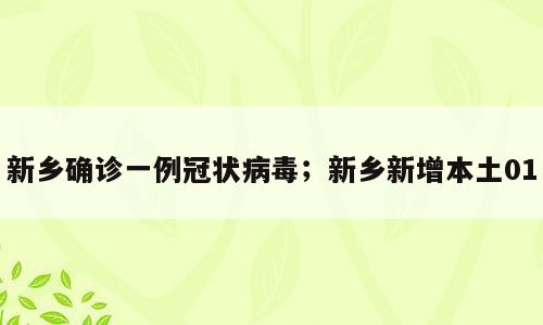 新乡确诊一例冠状病毒；新乡新增本土01