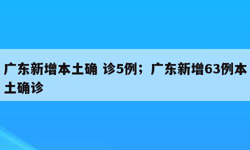 广东新增本土确 诊5例；广东新增63例本土确诊