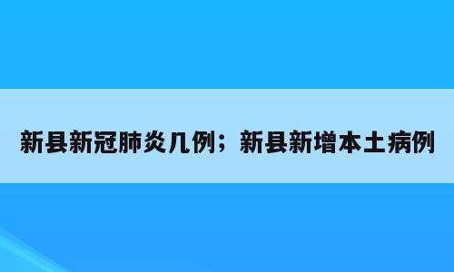 新县新冠肺炎几例；新县新增本土病例
