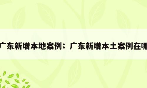 广东新增本地案例；广东新增本土案例在哪