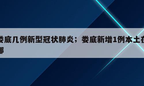 娄底几例新型冠状肺炎；娄底新增1例本土在哪