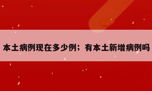 本土病例现在多少例；有本土新增病例吗
